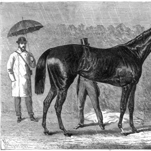 Spinaway, winner of the Oaks, 1875. Artist: Crane