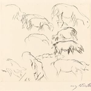 Verschiedene Tierstudien (Animal Studies), 1917. Creator: Lovis Corinth