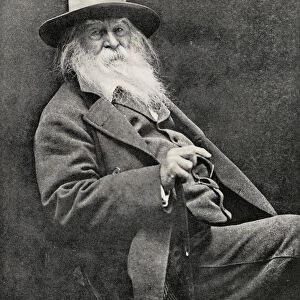 Portrait of Walt Whitman, American Poet