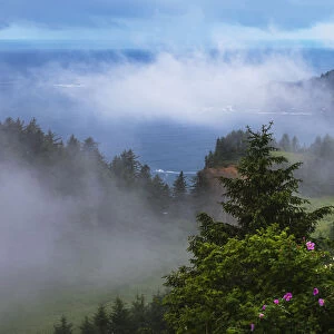 A Veil Of Mist Softens The View Of The Coastline And Oswald West State Park; Manzanita, Oregon, United States Of America