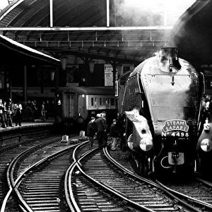 One of Britains fastest steam locomotives the Sir Nigel Gresley stops at
