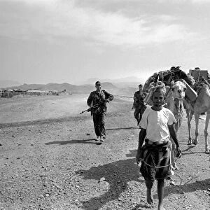 British Army in Aden with locals and a camel. April 1966 W4001b-006