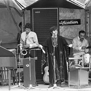 Dovovan performing on stage at the 1967 National Jazz and Blues Festival at Royal Windsor