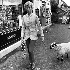 When Mrs. Moray Bell goes shopping, Basil the Lamb trots along with her