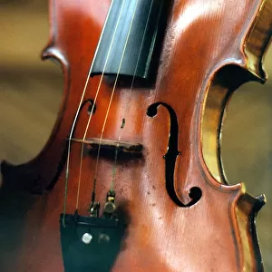 The strings and body of a violin
