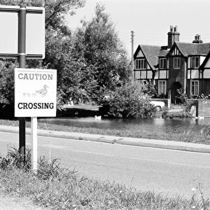 Village of Sherfield on Loddon, North Hampshire, August 1980