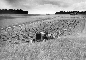 : AGRICULTURE-MOISSON