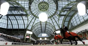 <b class=qtipBold><figcaption>Animals</figcaption></b><br>Agence France-Presse (AFP) Animals<br><em>© Copyright Agence France-Presse (AFP) - All Rights Reserved</em> Animals