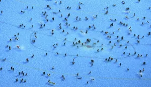 Swim Prints: Argentina-Heat-Pool-Feature