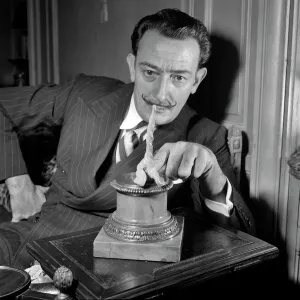 ART-DALI-bio