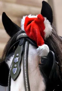 <b class=qtipBold><figcaption>AUSTRALIA-CHRISTMAS-HORSE WITH HAT</figcaption></b><br>Draught horse "Annabell" gets into the spirit of Christmas, by wearing a Santa hat in Sydney, 17 December 2001. Annabell, forms part of a two-horse team pulling a stationery delivery carriage through Sydney streets, turning heads as tourists and shoppers flood the city one week before Christmas. AFP PHOTO/Greg WOOD / AFP PHOTO / GREG WOOD<br><em>© Copyright Agence France-Presse (AFP) - All Rights Reserved</em> AUSTRALIA-CHRISTMAS-HORSE WITH HAT