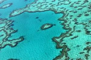 Australia-Conservation-Environment-Barrier Reef Australia-Conservation-Environment-Barrier Reef