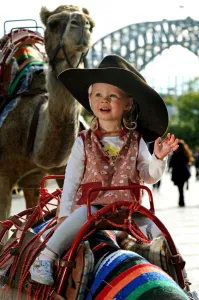 AFP Photographers Prints: Australia-Entertainment-Racing-Camel
