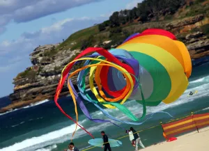 Sydney Prints: Australia-Kites-Spin-Sock