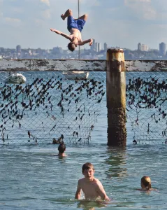 <b class=qtipBold><figcaption>Australia-Summer-Manly Cove</figcaption></b><br>Children play on a shark net at Little Manly Cove, Sydney, Australia. AFP PHOTO / William WEST / AFP PHOTO / WILLIAM WEST<br><em>© Copyright Agence France-Presse (AFP) - All Rights Reserved</em> Australia-Summer-Manly Cove