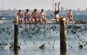 <b class=qtipBold><figcaption>Australia-Summer-Sydney</figcaption></b><br>Children play on a shark net at Little Manly Cove in Sydney. AFP PHOTO / William WEST / AFP PHOTO / WILLIAM WEST<br><em>© Copyright Agence France-Presse (AFP) - All Rights Reserved</em> Australia-Summer-Sydney