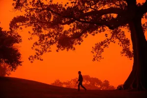 Australia Prints: Australia-Weather-Dust-Dog