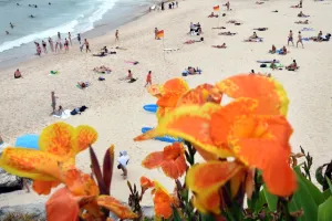 <b class=qtipBold><figcaption>Australia-Weather-Tamarama-Beach</figcaption></b><br>People relax on the beach in the Sydney suburb of Tamarama on December 14, 2016 after Sydneysiders sweltered through the hottest night ever recorded in December. AFP PHOTO / William WEST<br><em>© Copyright Agence France-Presse (AFP) - All Rights Reserved</em> Australia-Weather-Tamarama-Beach