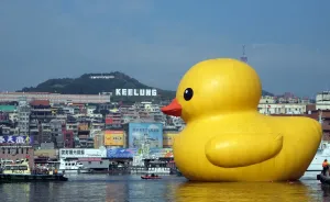 Bath Toy Duck Replica Taiwan