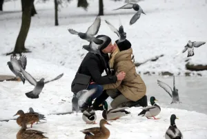 Belarus-Theme-Love