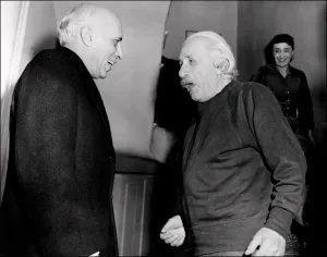 Profile Prints: Bio-Einstein-Nehru