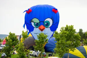 Ballooning Prints: A bird-shape hot-air balloon raises during the 21th European Balloon Festival in Igualada