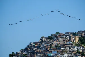 <b class=qtipBold><figcaption>Brazil-Bird-Vidigal-Shantytown</figcaption></b><br>Birds fly in front of Vidigal shantytown (favela) near Lebron beach in Rio de Janeiro, Brazil, on April 10, 2015. AFP PHOTO / YASUYOSHI CHIBA / AFP PHOTO / YASUYOSHI CHIBA<br><em>© Copyright Agence France-Presse (AFP) - All Rights Reserved</em> Brazil-Bird-Vidigal-Shantytown