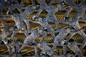 Brazil-Carnival-Rio-Champion Parade-Salgueiro