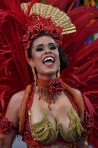 Brazil-Carnival-Sao Paulo-Nene De Vila Matilde