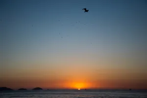 Brazil-Rio-Dawn-Feature