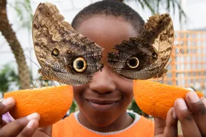 <b class=qtipBold><figcaption>Britain-Animal-Butterfly</figcaption></b><br>Bjorn, 6, poses for pictures with Owl butterflies during a photocall at the Natural History Museum in central London on March 23, 2016. The photocall was to promote the Museum's "Sensational Butterflies" exhbition which runs until September 11. / AFP PHOTO / LEON NEAL<br><em>© Copyright Agence France-Presse (AFP) - All Rights Reserved</em> Britain-Animal-Butterfly