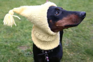 <b class=qtipBold><figcaption>Britain-Animal-Dog-Crufts</figcaption></b><br>A dog owner arrives with his Manchester Terrier on the first day of the Crufts dog show at the National Exhibition Centre in Birmingham, central England, on March 10, 2016. / AFP PHOTO / JUSTIN TALLIS<br><em>© Copyright Agence France-Presse (AFP) - All Rights Reserved</em> Britain-Animal-Dog-Crufts