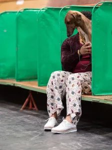 Britain-Animal-Dog-Crufts