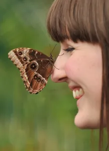 Britain-Env-Nature-Butterflies Britain-Env-Nature-Butterflies