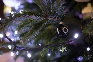 Christmas - Xmas Prints: Britain-Politics-Christmas