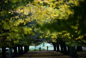 Britain And UK Prints: Britain-Richmond-Feature