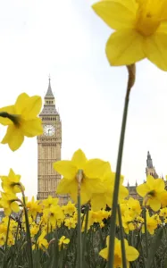 Britain And UK Prints: Britain-Weather