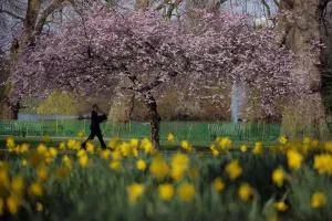 Nature Prints: Britain-Weather-Offbeat