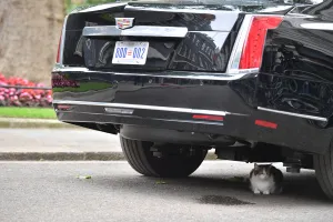 Cat-Britain-Us-Politics-Diplomacy Cat-Britain-Us-Politics-Diplomacy