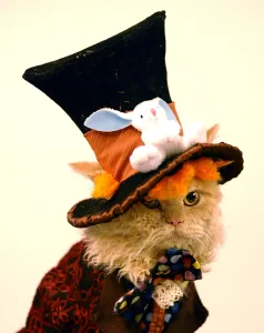 <b class=qtipBold><figcaption>Cat-Show-Offbeat</figcaption></b><br>Cat dressed up for a show with a top hat AFP PHOTO<br><em>© Copyright Agence France-Presse (AFP) - All Rights Reserved</em> Cat-Show-Offbeat