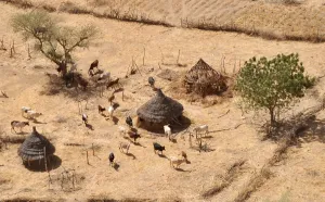Chad-Eufor-Shepherd Chad-Eufor-Shepherd