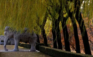 China-Culture-History China-Culture-History