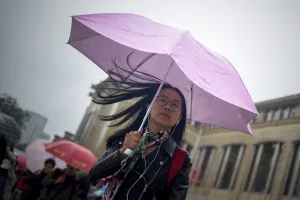 Umbrella Prints: China-Lifestyle