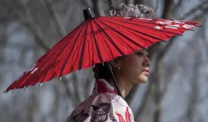 China-Lifestyle-Cherry-Blossom China-Lifestyle-Cherry-Blossom