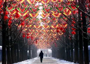 Butterfly Prints: China-New Year-Decorations-Butterflies
