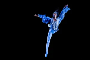 Dance Prints: Colombia-Dance-Ballet-Festival