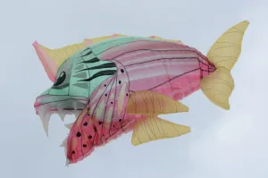 Ballooning Prints: Colombia-New Year-Festival-Solar Balloon