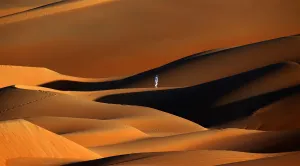 Middle East Prints: Correctiong-Uae-Camel-Desert-Nature-Tourism