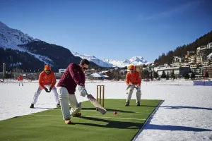 Sport Prints: Cricket-Sui-Ice