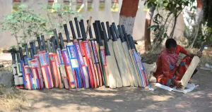 Cricket-Wc2011-Ind-Feature